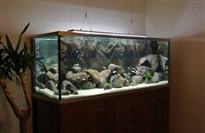 Akvárium 371L, rozmery 150x45x55cm